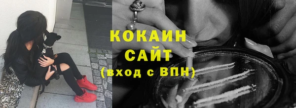PSILOCYBIN Иннополис