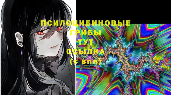 PSILOCYBIN Иннополис