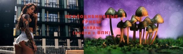 мескалин Инсар