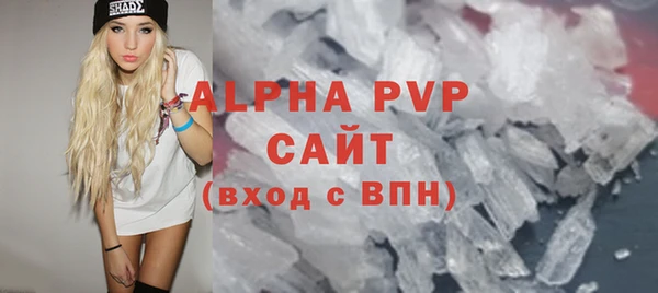 ПСИЛОЦИБИНОВЫЕ ГРИБЫ Каменка