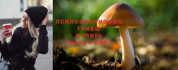 PSILOCYBIN Иннополис