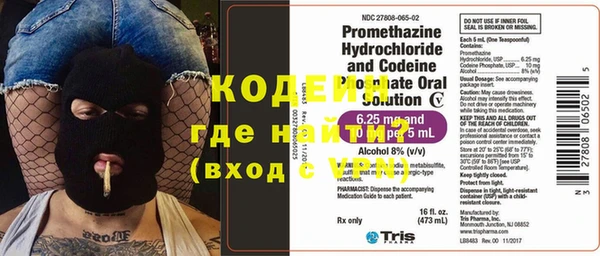 ПСИЛОЦИБИНОВЫЕ ГРИБЫ Каменка